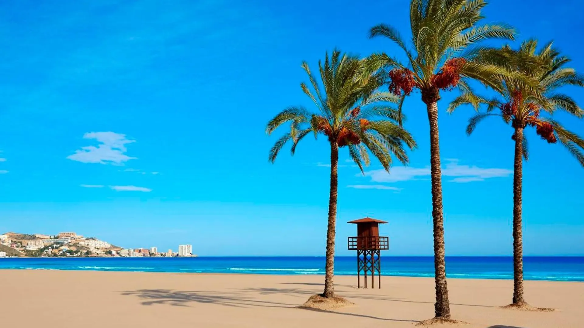 Apartment Apartamento Lugar Tranquilo Facil Aparcamientos Cadiz Spain